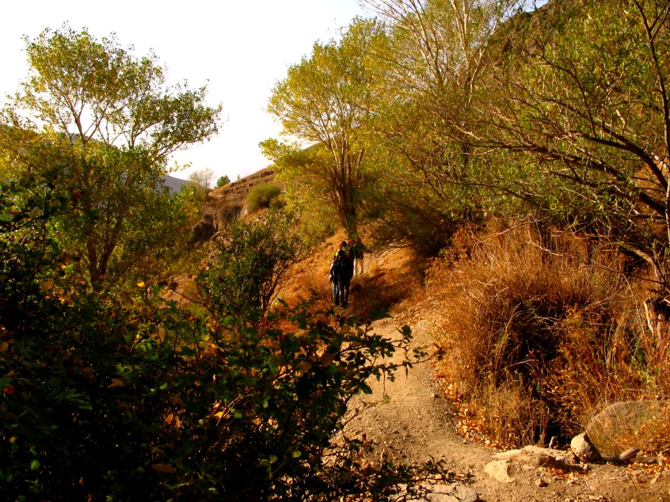 Pahneh Hesar (Pahneh Sar), Kan, Alburz