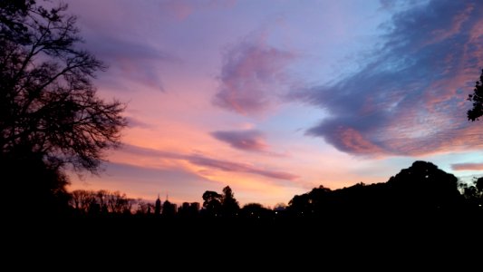 Fawkner Park at sunrise
