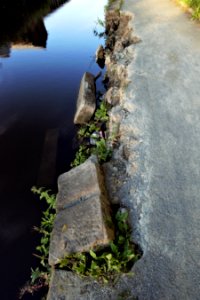 DSC 0278