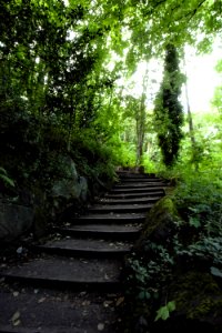 DSC 0815