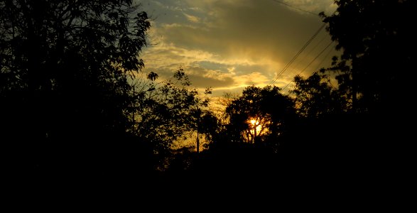 Long lust to photograph...to photograph the beauty I see through my eyes...inspired by millions of artists across the Globe, never knew beauty beholds not only in eyes, but also the way you capture it...