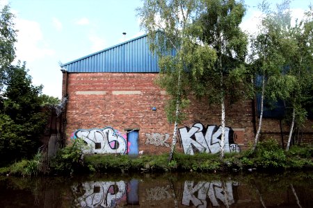 DSC 0041