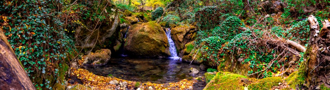 Mountain stream in a reserved autumn forest (Panorama) photo