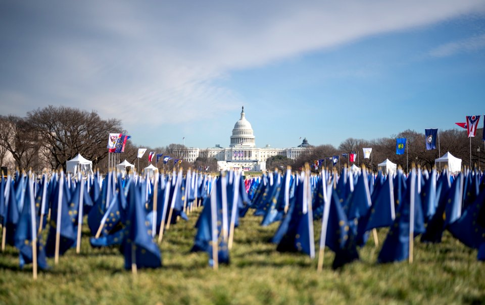 Field of Flags