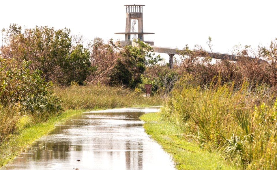 092117 Everglades SharkValley 13