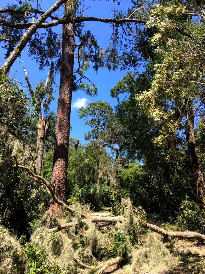 091317 Timucuan 15