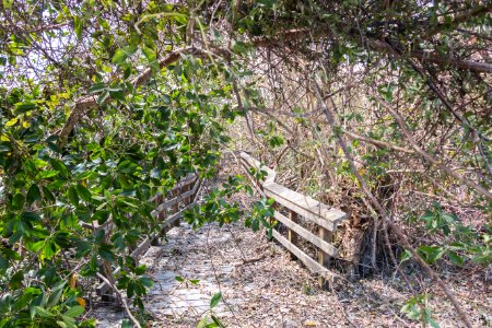091717 Everglades 27