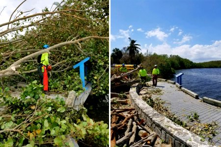 091617 Biscayne Before-After