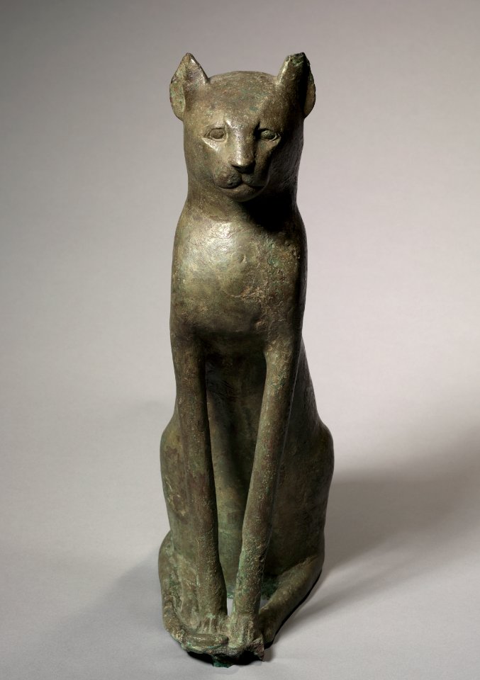 Cat Coffin- 1917.998 print