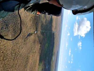 091517 Everglades 04