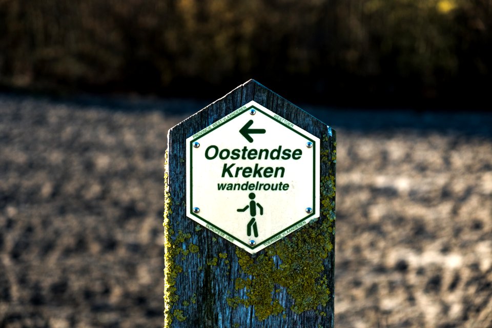 Wandelen