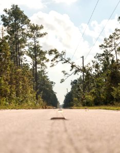 091717 Everglades 10
