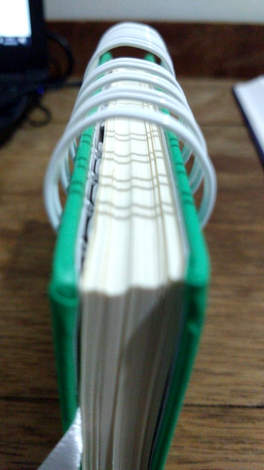 Foto de Júlio Gonçalves