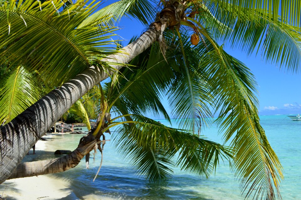 Beach paradise holiday