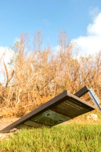 091517 Everglades GCD 12