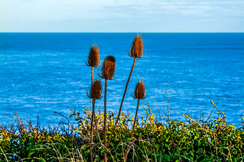 Seascape jurassic coast sea