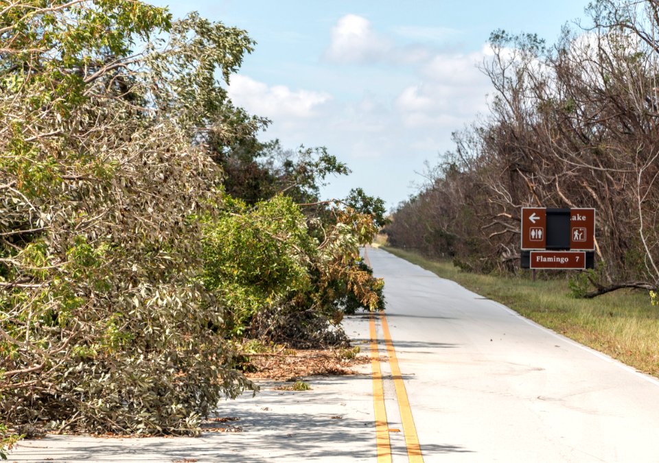 091717 Everglades 26
