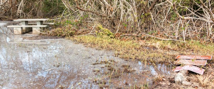 091717 Everglades 29