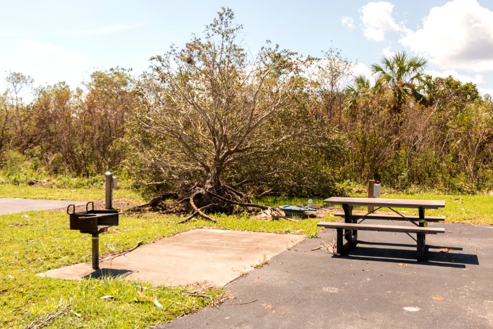 091517 BigCypress 12