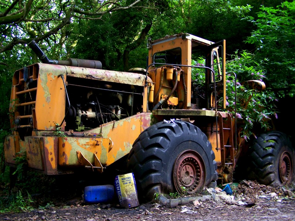 Foliage against the machine