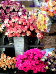 Flower market, Nice, France photo
