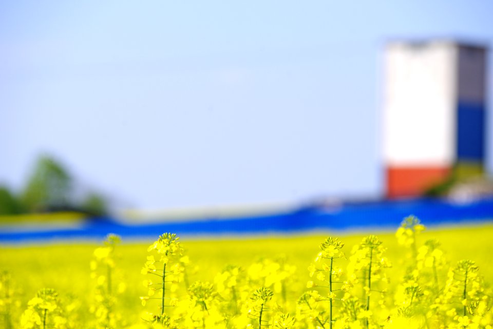 paesaggio con colori e contrasti