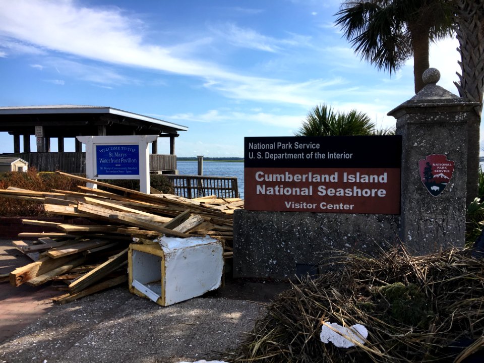 Cumberland Island NS