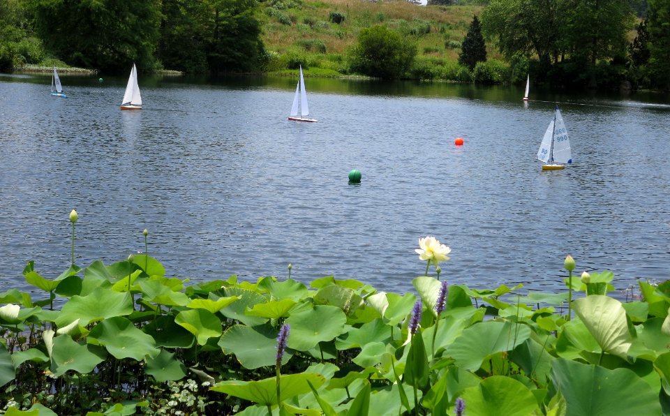 lg boats on lake 1