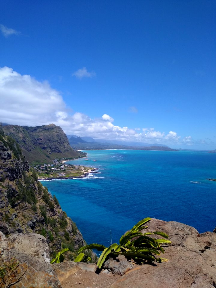 Tasha The Makapu'u Point Trail photo