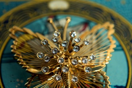 Butterfly Pin 1