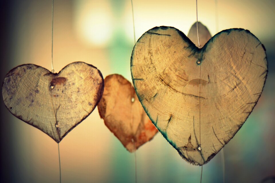 Valentine harmony romantic