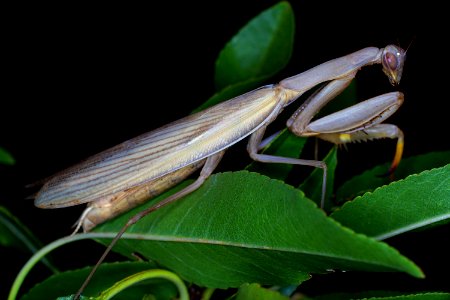 DSC07518 v2