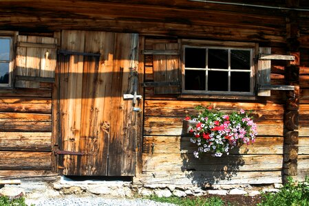 Window building geranium photo