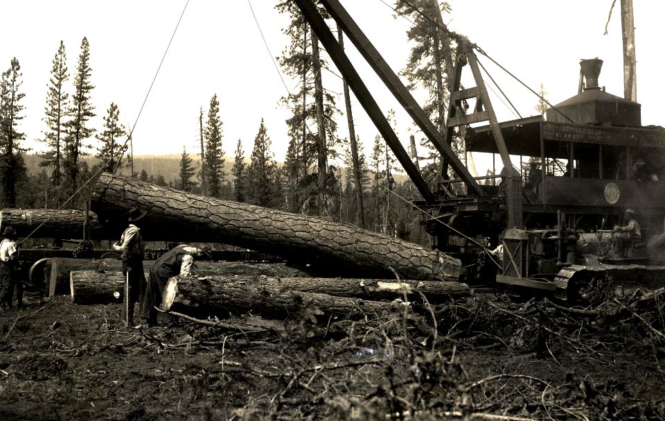 1930. Salvage logging ponderosa pine. Dendroctonus brevicomis control. Klamath Falls, Oregon.