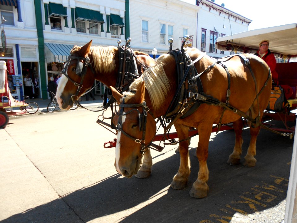 Mackinac Island, Michigan