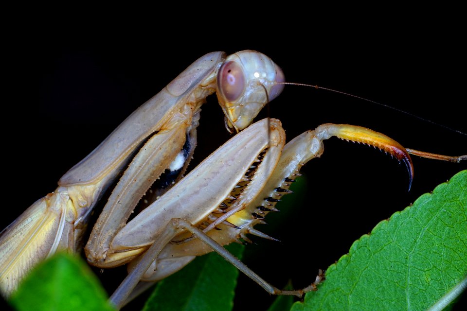 DSC07549 v2