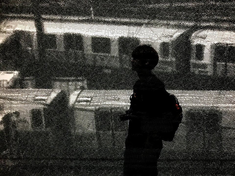 IMG 7856