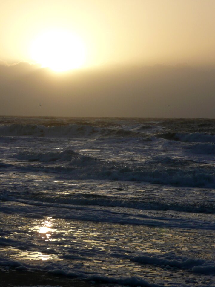 Coast north sea landscape