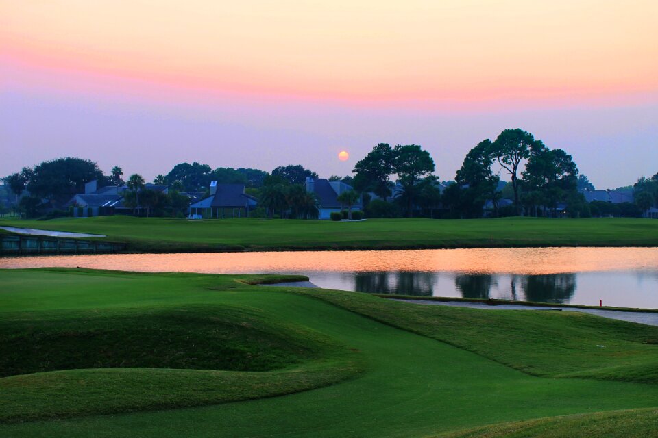 Golf course summer