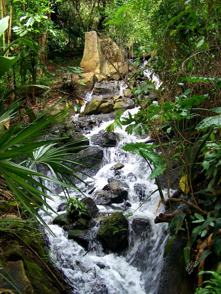 Eden Project rainforest