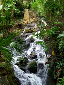 Eden Project rainforest