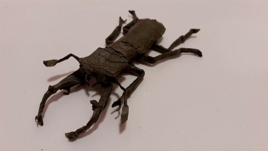 origami stag beetle BP by Robert J. Lang