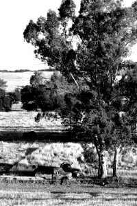 DSC05301 v2