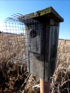 Kent Fuller Air Station Prairie