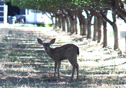 DSC05283 v2
