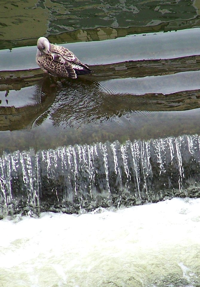 Bath 8