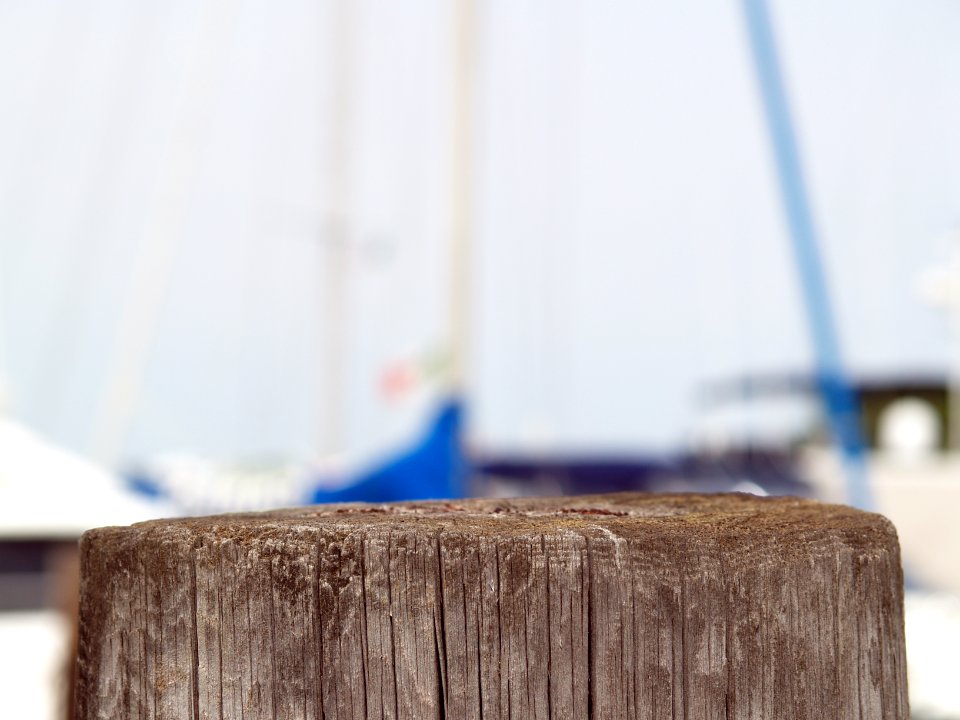 Harbor Scene