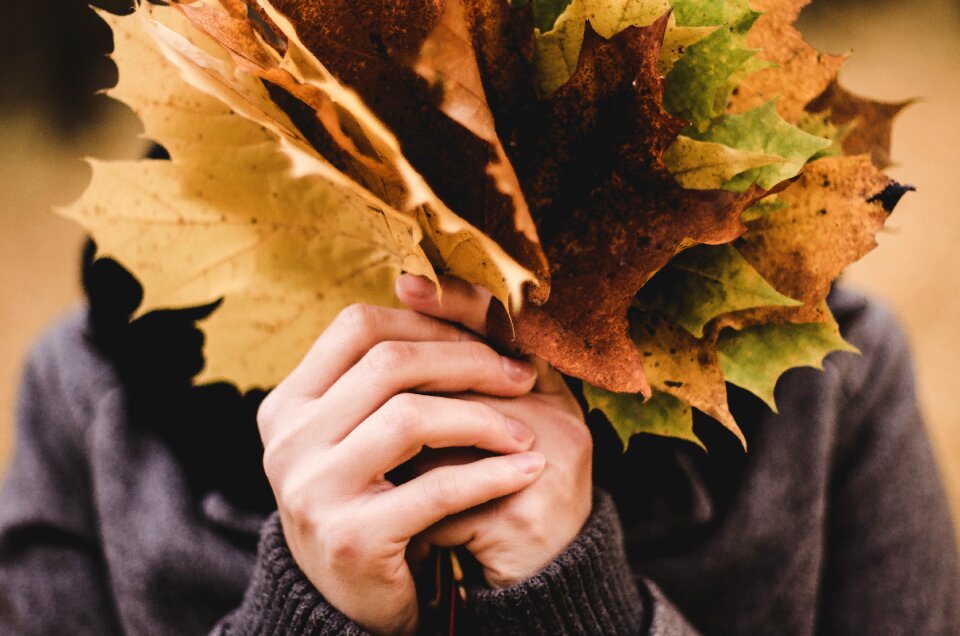 Autumn fall season