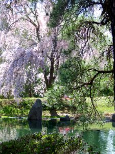 may japanese garden