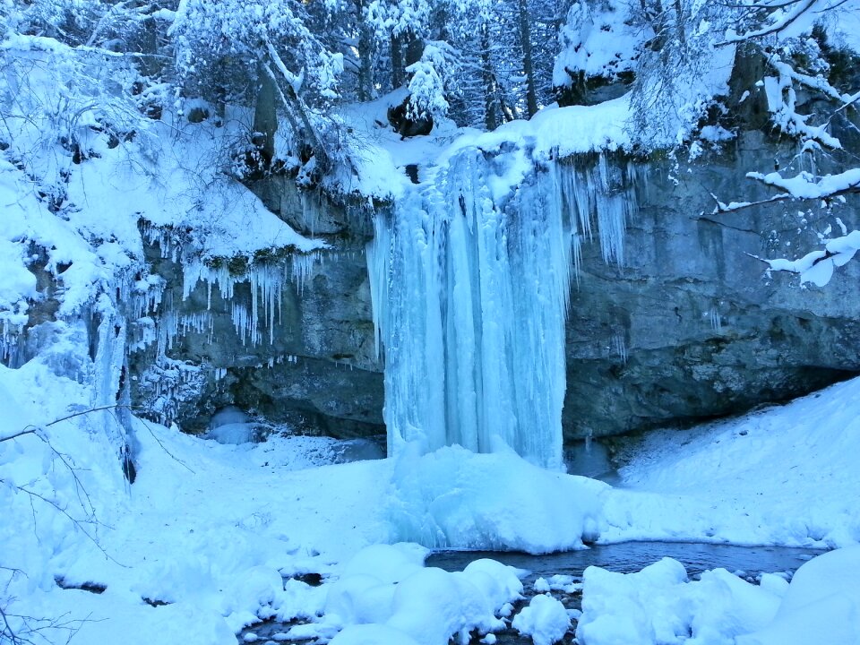 Snow landscape cold